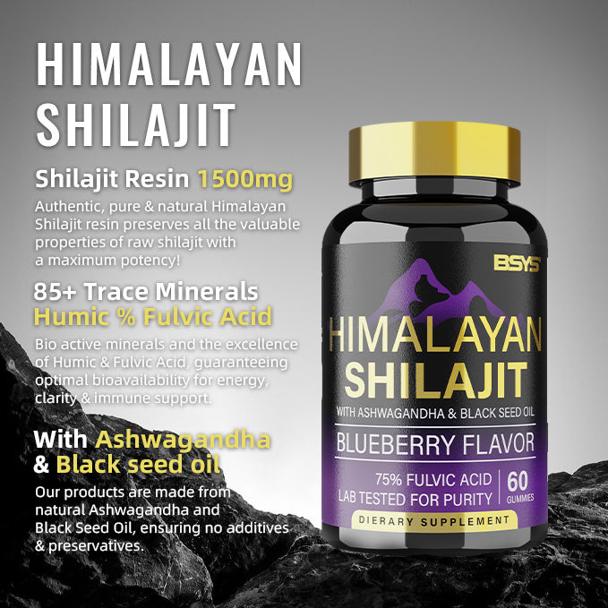 BSYS Himalayan Shilajit Gummies – 60 Count