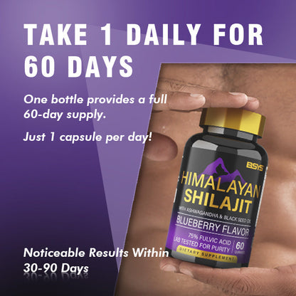 BSYS Himalayan Shilajit Gummies – 60 Count