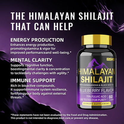 BSYS Himalayan Shilajit Gummies – 60 Count