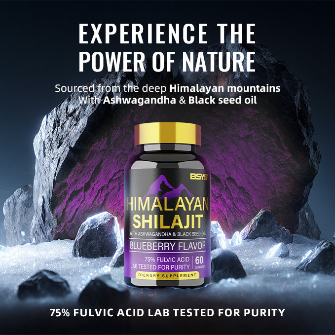 BSYS Himalayan Shilajit Gummies – 60 Count